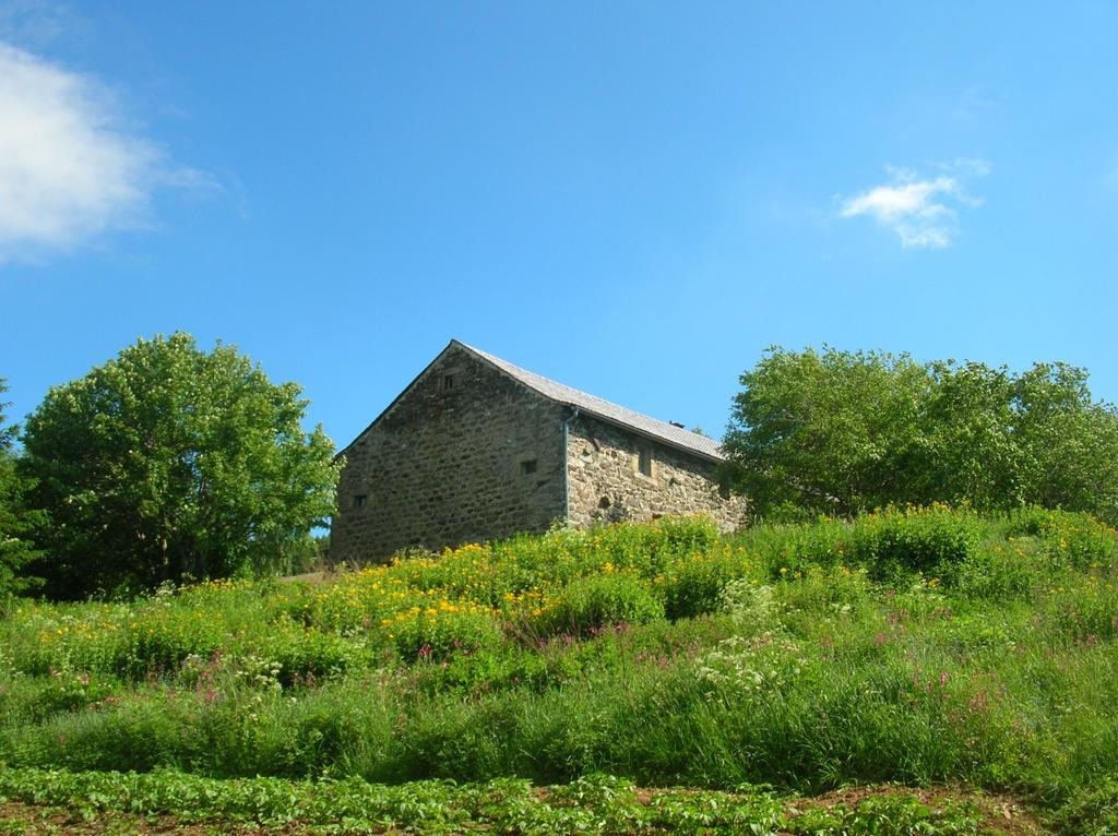 Bastides Du Mezenc Bed & Breakfast Saint-Front  Exterior photo